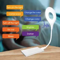 Smart voice control light